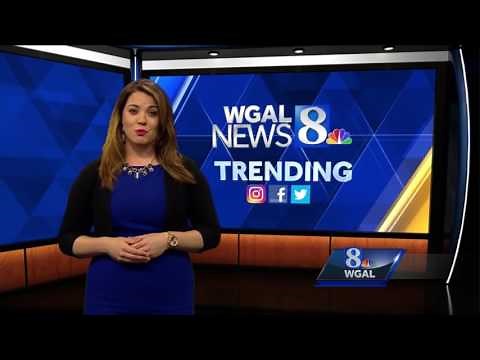 How to spot a 'Facebook Clone'