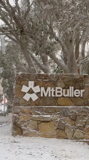 Snowing at Mt. Buller: Get Ready for Winter Wonderland!
