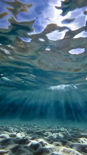 Ai Generated, Underwater, Ocean. Free Stock Video