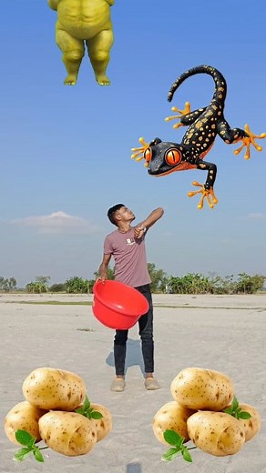 Flying crying babies Catching vs dancing gorilla,, Cute bhabhi,, parrot,, Vfx Funny New Video 😀 | Balindra Barman