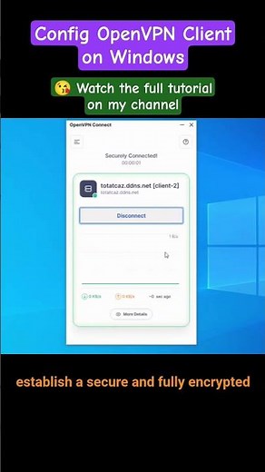 Install OpenVPN Client on Windows