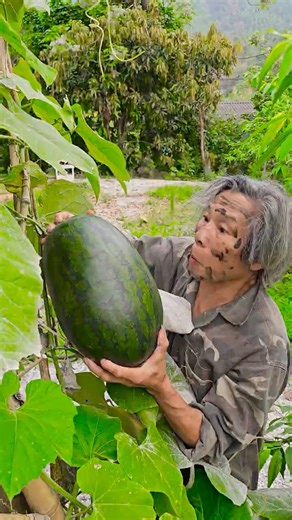 Survival skills: SIMPLE but VERY USEFUL with watermelon #shorts