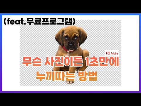 사진 누끼따는방법/1초만에 누끼따기/무료프로그램/어도비무료누끼