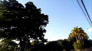 23K views · 593 reactions | Real Flying Horse. | UFO Aliens Ovni X | Facebook