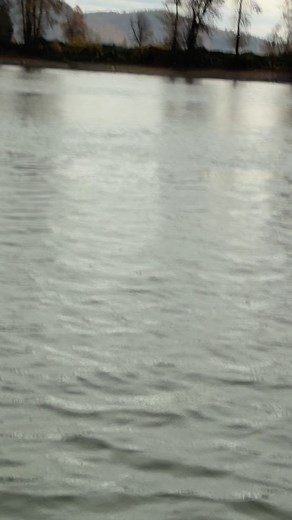 15K views · 2.3K reactions | Shoutout to @fatboyzfishingadventures  What an absolute stunner of a fish! Thanks for coming out with us, always a blast having you guys on the water. Hope to see you again next season‼️ #fraserriver #sturgeonfishing #catchandrelease #fishingcharter #bookwithus | Lang's Fishing Adventures | Facebook