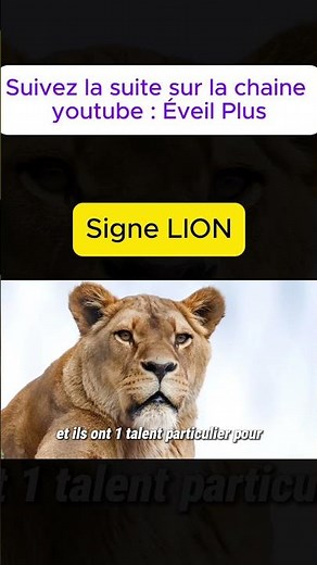 LA PERSONNALITÉ DU SIGNES LION #lion #horoscope #signeastrologique