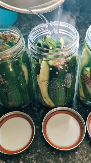 Homemade refrigerator pickles! 🥒