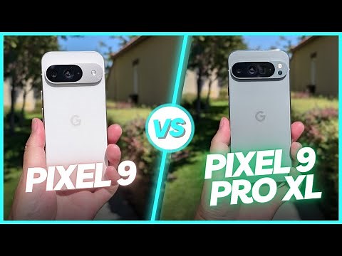 Pixel 9 vs Pixel 9 Pro XL Camera Comparison | What's the difference?