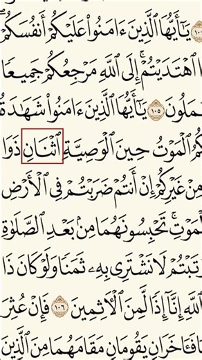 الألف الرابع 8 ألف الوصل أو همزة الوصل في ا