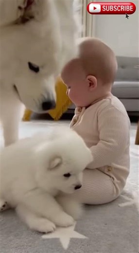 Bloopers: A Baby’s First Puppy Hug 🐶👶💛