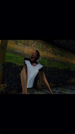 granny Granny's deserted house in a forest scape basement