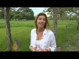 Colombians split on peace talks