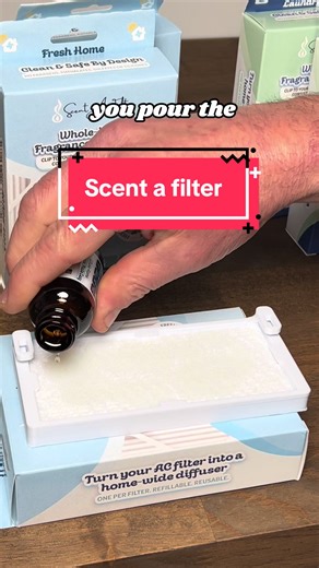 Transform Your Home with Scent a Filter Air Diffuser