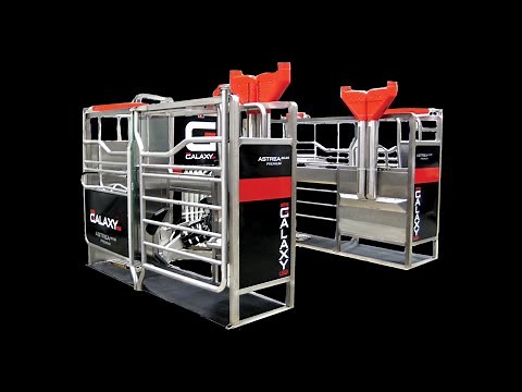 Automatic Milking Video - YouTube