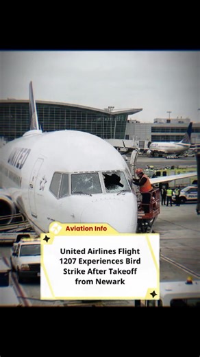 Bird Strike Threatens United Airlines Flight 1207