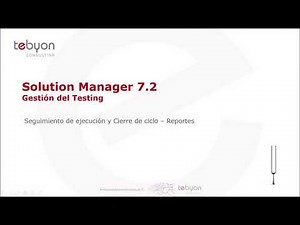 Solman 7.2 - Test Suite - Analytics y Reporting