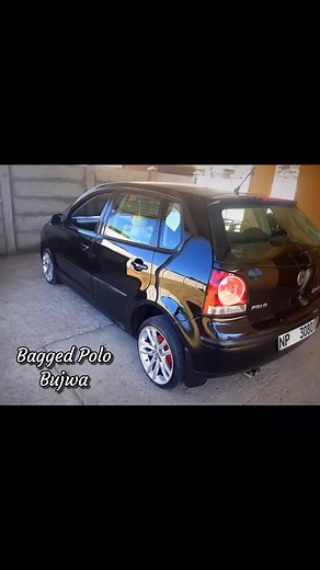 Lowlife Suspension on TikTok