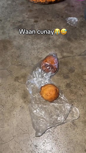 Emotional Moments of Pregnancy Journey