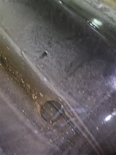 DD15 Main Bearing Failure Solutions for Diesel Mechanics