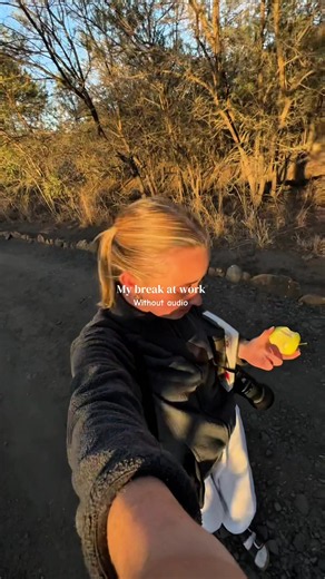 Amazing Safari Sounds from Africa