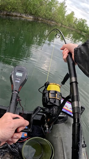 578K views · 3.8K reactions | Live Catfish Strike. Watch closely -...