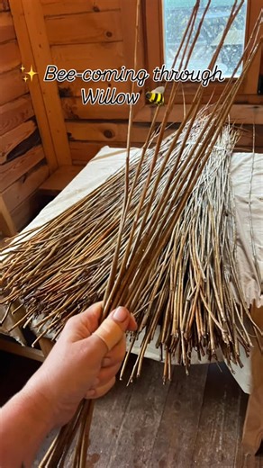 Geet Fateh Kaur✨Macipã Huni Kuī 🐍 on Instagram: "✨ Bee-coming through Willow 🐝 Last weekend, the willow whispered a new language to me — the art of sculpting. 🌿 While others shaped reindeer in the spirit of the season, my hands were guided by something else entirely… the humble, holy bee. A messenger of sweetness, community, and divine creation. 🍯 I thought I might weave a little bumblebee the size of a football — but what emerged was a big, beautiful being, full of life and spirit. Each twi