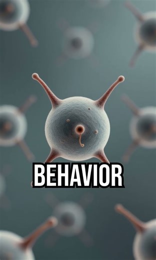 Discover the Quantum Maze! #ScienceFacts #QuantumPhysics