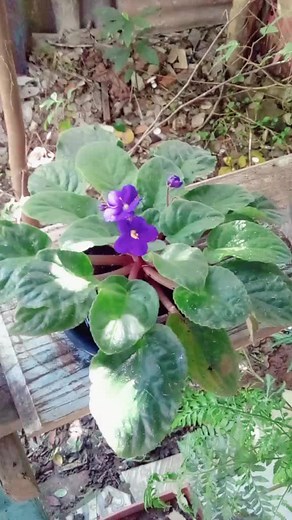 Os vídeos de diego32_2🤗🙏 (@diego32_2) com som original - diego32_2🤗🙏