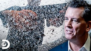 7.6M views · 32K reactions | Una lluvia blanca y más espesa que el agua cayó sobre la costa del Pacífico de Estados Unidos, y científicos especulan sobre la explicación para este suceso.#SecretosdelaNASA | Discovery Latinoamérica | Facebook