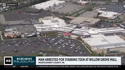 Man arrested for allegedly stabbing 14-year-old girl at Willow Grove Park Mall, police say