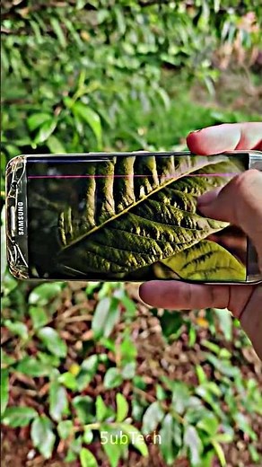 The Samsung Galaxy S7 Edge: A 2025 Perspective