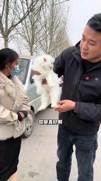 Revolutionize Your Style: DIY Home Decor Hacks Unveiled