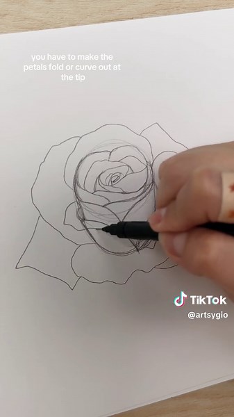 How to Draw Roses: Step-By-Step Tutorial