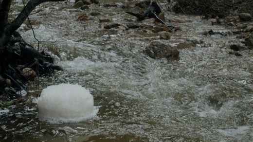 River, Creek, Flowing. Free Stock Video