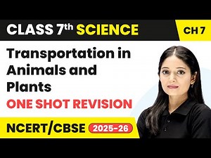 Transportation in Animals and Plants - One Shot Revision | Class 7 Science Chapter 7 | CBSE 2025-26