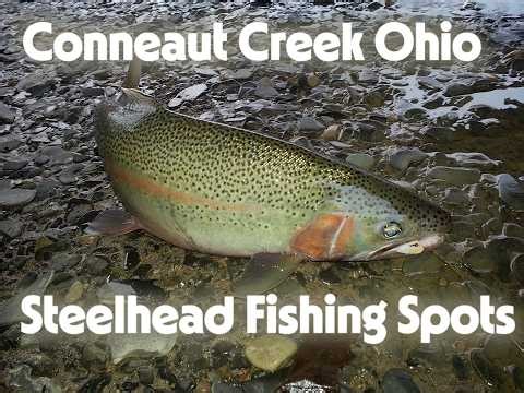 Conneaut Creek Ohio Steelhead Fishing Spots!