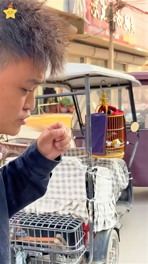 Funny animals voice pranks #for #funny #funnypranks #foryou