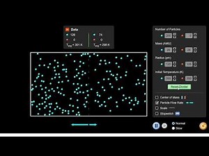 What is dynamic equilibrium | Equilibrium | meriSTEM