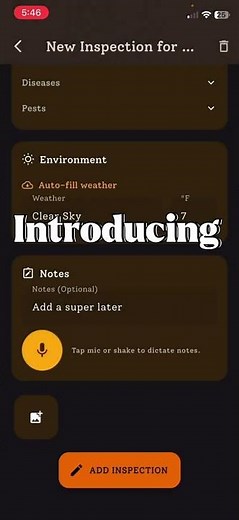 Beekeeping just got easier! Hive Inspection Drafts are in Hivebloom! #beekeeping #bees #app