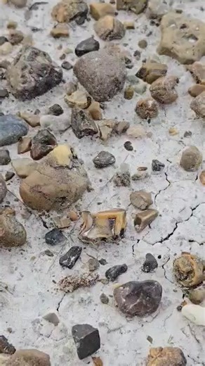 Fairburn agate second find of the day. | Agates for sale