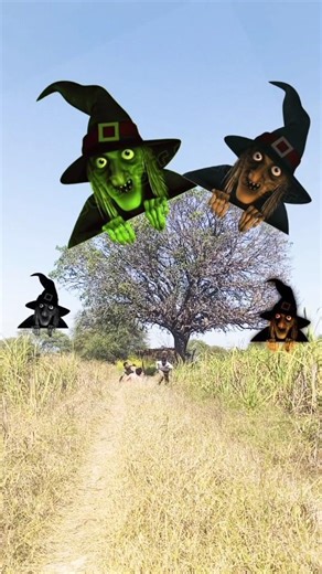 The Friendly Rooftop Ghost!". 😱 #india #shortsfeed #viralvideos #youtubeshorts