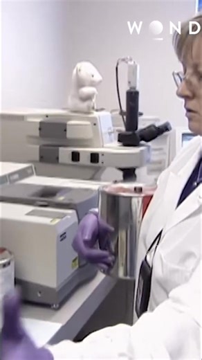 Forensic examiner Susan Williamson's method for finding flammable substances is put on display. She uses charcoal to extract vapors from charred samples. Solvents are added to turn vapors into liquids for testing. Have you ever wondered how forensic science works? #forensics #science #investigation #chemistry #experiment #testing | The Wonder Channel