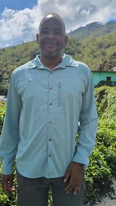 There’s a lot of information going around about the cane toad tadpoles showing up in water bodies after Hurricane Melissa. These tadpoles can quickly take over ponds, drains, and flooded areas, so it’s important to know what you’re looking at and how to manage them safely. Please share and follow @RoostersWorldja for updates and guidance. | Roosters World