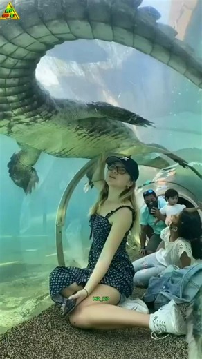 Top 3 Most Expensive Hotels In The World 🏨 One Night Cost Will Shock You 😱#shorts #shortsfeed