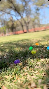 92 reactions · 11 shares | Easter bunnies are popping up all over our...