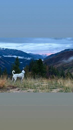 October 3rd, 2025. Camping over my first weekend down from the fire lookout. 🚐🚌🚌 #offgrid #camping #campervan #getoutside | Lookout for Michelle