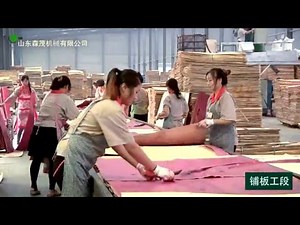 How It's made — Plywood production line