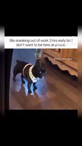 17K views · 344 reactions | Peace out ‍♂️ #funnyvideos #funnyreels #funnypost | Funny Memes Daily | Facebook