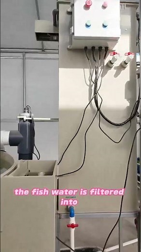🌱🐟 Aquaponics: Grow More with Nature’s Perfect Balance