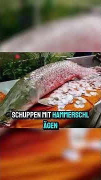 Das ist der größte und gefährlichste Fisch!